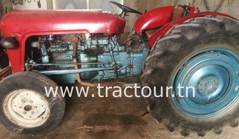 À vendre Tracteur Massey Ferguson MF 35 avec carte grise complet