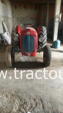 À vendre Tracteur Massey Ferguson MF 35 avec carte grise complet