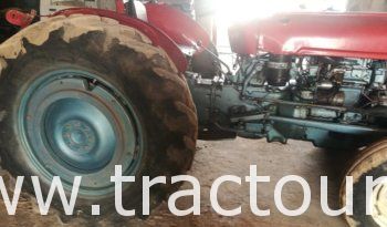 À vendre Tracteur Massey Ferguson MF 35 avec carte grise complet