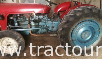 À vendre Tracteur Massey Ferguson MF 35 avec carte grise complet