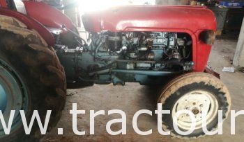 À vendre Tracteur Massey Ferguson MF 35 avec carte grise complet