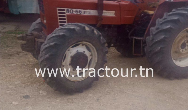 À vendre Tracteur Fiat 80-66 complet