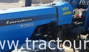 À vendre Tracteur Landini 7865 avec Lame niveleuse semi remorque agricole benne et charrue à 2 socs complet