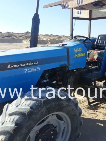 À vendre Tracteur Landini 7865 avec Lame niveleuse semi remorque agricole benne et charrue à 2 socs complet