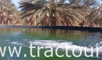 À vendre Bassin d’eau 100 000 litres خزان ماء complet