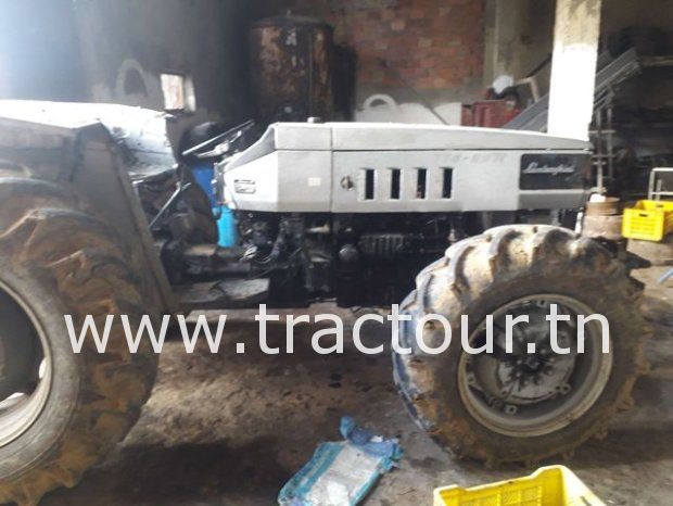 À vendre Tracteur Lamborghini 774-80N complet