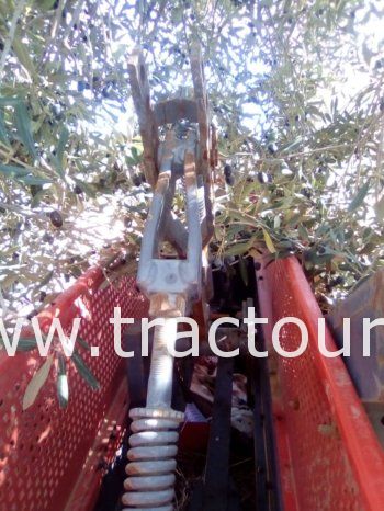 À vendre Presse à paille – Brissa Abbriata M61 (2011) complet