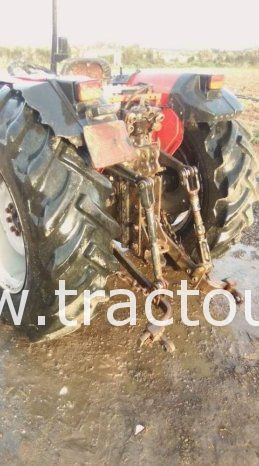 À vendre Tracteur fruitier Massey Ferguson (2010) complet
