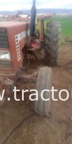 À vendre Tracteur Fiat 766 avec CARTE GRISE complet