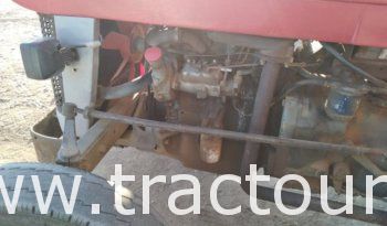 À vendre Tracteur Massey Ferguson 135 avec canadienne 9 dents complet