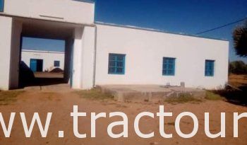 À vendre Matériel d’extraction de l’huile d’olive معصرة زيتون complet