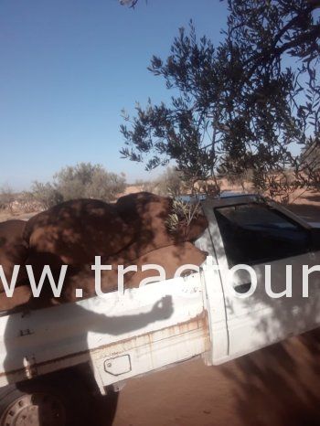 À vendre Camionnette 2 portes avec benne Isuzu Faster 2.5D complet