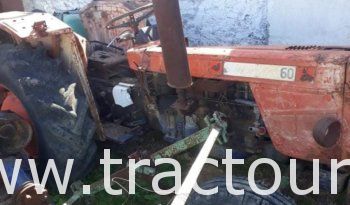 À vendre Tracteur Same 60 et Same 70 complet