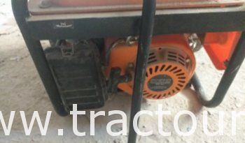 À vendre groupe électrogène 220 V complet