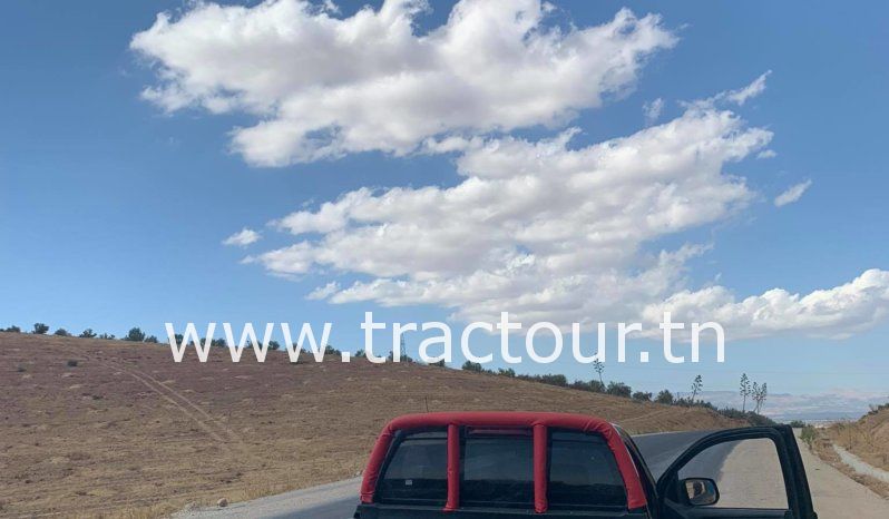 À vendre Camionnette 2 portes avec benne Isuzu D-Max 2.5 TD (2016) complet