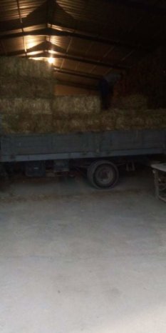 À vendre Camion plateau avec ridelles OM 50 complet