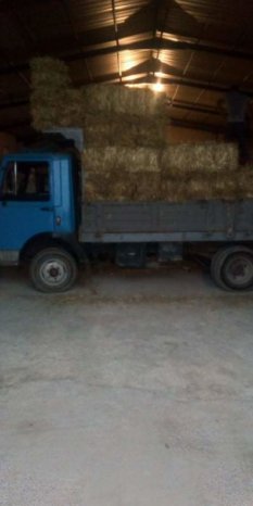 À vendre Camion plateau avec ridelles OM 50 complet