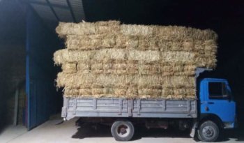 À vendre Camion plateau avec ridelles OM 50 complet