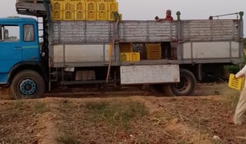 À vendre Camion plateau avec ridelles Iveco 159-20 complet