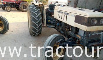 À vendre Tracteur Lamborghini 674-70 N (2004) complet