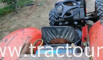 À vendre Tracteur fruitier Same Frutteto 75 complet