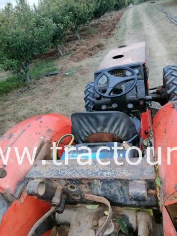 À vendre Tracteur fruitier Same Frutteto 75 complet