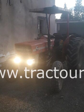 À vendre Tracteur Massey Ferguson 135 sans carte grise complet