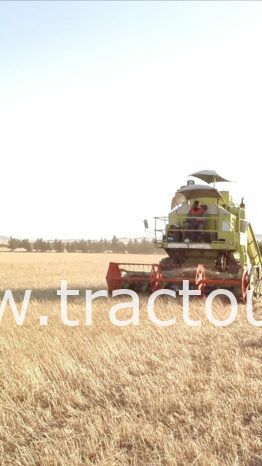 À vendre Moissonneuse batteuse Claas Dominator 66 complet