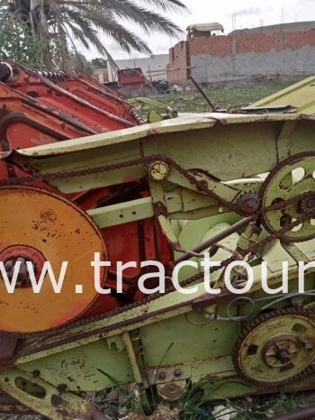 À vendre Moissonneuse batteuse à sacs بالشكارة Claas Dominator 75 complet