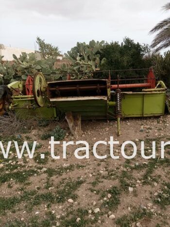 À vendre Moissonneuse batteuse à sacs بالشكارة Claas Dominator 75 complet