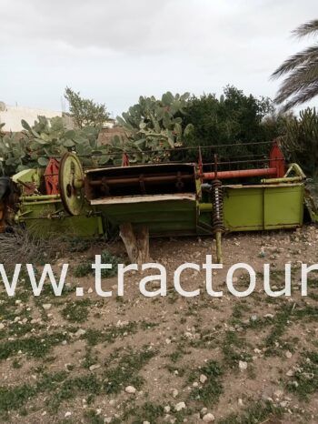 À vendre Moissonneuse batteuse à sacs بالشكارة Claas Dominator 75 complet