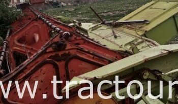 À vendre Moissonneuse batteuse à sacs بالشكارة Claas Dominator 75 complet