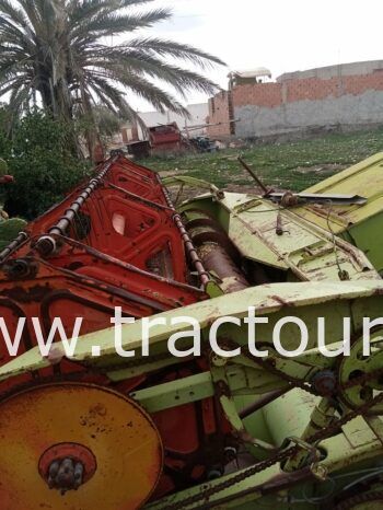 À vendre Moissonneuse batteuse à sacs بالشكارة Claas Dominator 75 complet