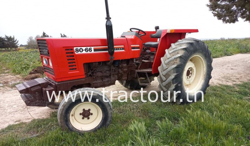 À vendre Tracteur Fiat – New Holland 80-66 complet