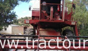 À vendre Moissonneuse batteuse à trémie et vis Laverda 3600 complet