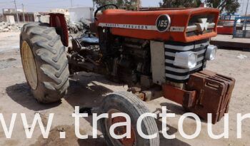 ⛔?VENDU تم البيع?⛔ Tracteur Massey Ferguson 165 (1978) complet