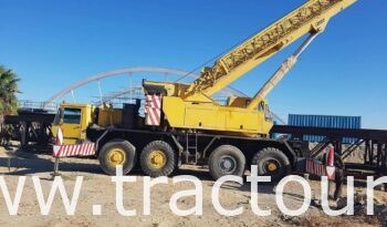 À vendre Grue mobile Luna AT80/41 – 80 tonnes – Monteur Mercedes v8 bi-turbo (2001) complet