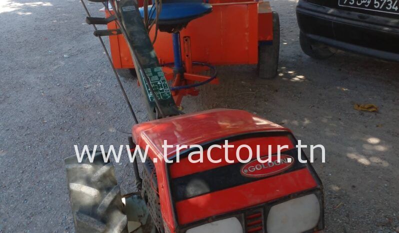 À vendre Motoculteur Goldini 14ch Diesel complet