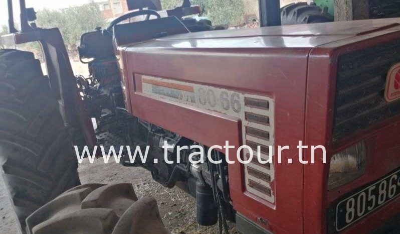 À vendre Tracteur Fiat – New Holland 80-66 complet