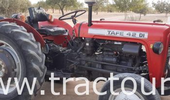 À vendre Tracteur Tafe 42 DI (2016) complet