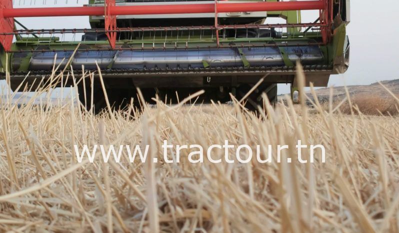 À vendre Moissonneuse batteuse Claas Dominator DS98 (1992) complet