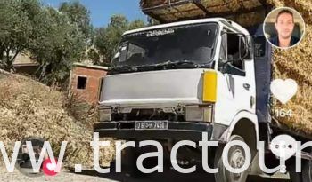 À vendre Camion plateau sans ridelles Iveco Zeta 65.9 complet