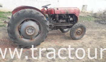 À vendre Tracteur Massey Ferguson MF 35 complet