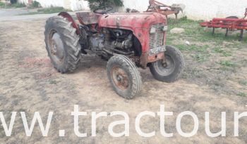 À vendre Tracteur Massey Ferguson MF 35 complet