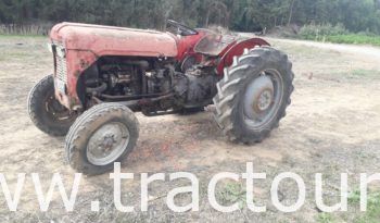 À vendre Tracteur Massey Ferguson MF 35 complet