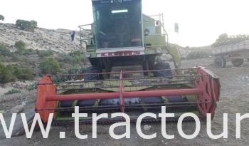 À vendre Moissonneuse batteuse Claas Dominator 66 avec presse à paille Cicoria 2747F et Claas Markant 65 complet