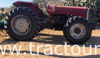 ⛔🚫VENDU تم البيع🚫⛔  Tracteur Massey Ferguson 298 avec 2 citernes 5500 litres et 6000 litres complet
