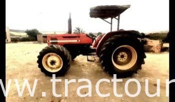 À vendre Tracteur Same Explorer II 80 complet