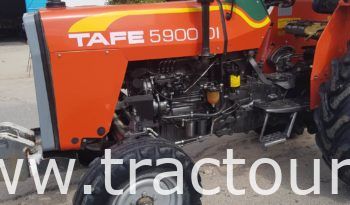 À vendre Tracteur Tafe 5900 DI (2020) complet