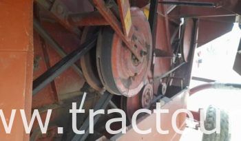 À vendre Moissonneuse batteuse à sacs بالشكارة Laverda 3500 complet